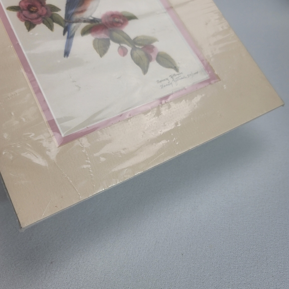 Nancy Zittrain Bluebird With Flowers Print With Mat SIGNED NUMBERED - Picture 15 of 16